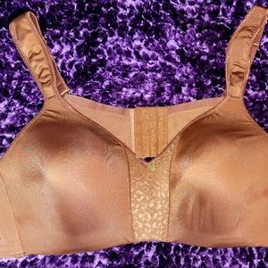 Ashley Stewart Butterfly Bra